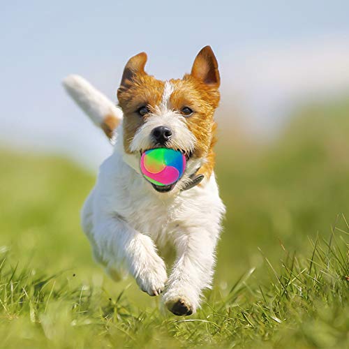 FineInno 4 Pcs LED Juguete de Pelota de Masticar,Bola de Mascota Perros, Bola de Salto para Perros y Gatos, luz LED Intermitente Chew Ball Toy