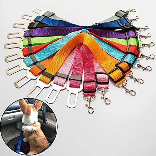 Flashing Cinturón de seguridad ajustable para perros pequeños, medianos y pequeños, suministros para mascotas, 11 colores (color: morado, tamaño: 45-72 cm de ancho 2,5 cm)