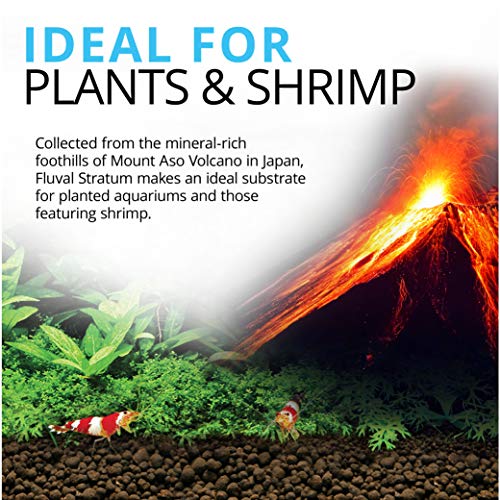 Fluval 12693 Sustrato Plant & Shrimp