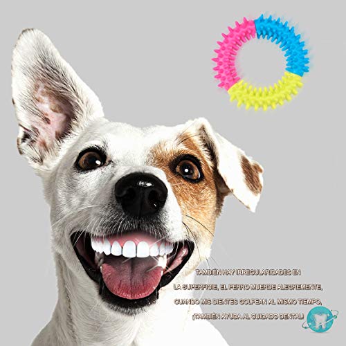FONPOO Grupo de Juguete Perro Durable Masticable Cuerda Soledad Grupo de Juguete para Perrito Pequeño Medio Solitario para Mantener a su Perro Sano 10 Piezas