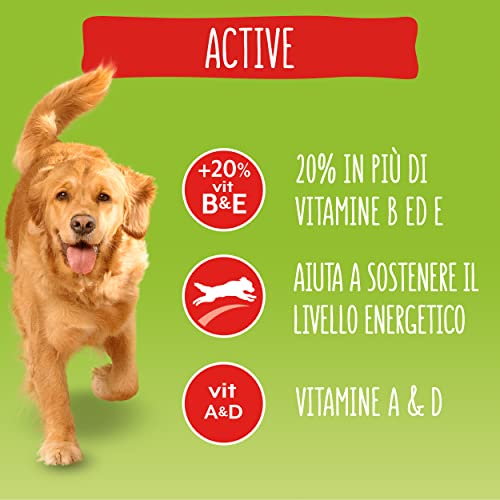Friskies Purina - Pienso para Perro Vitafit Active con Ternera, 6 Bolsas de 1,5 kg Cada uno