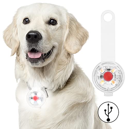 Fttouuy Luz intermitente LED de seguridad para perros y gatos, LED colgante USB recargable para perro, 3 modos intermitentes, luces de seguridad impermeables para mascotas