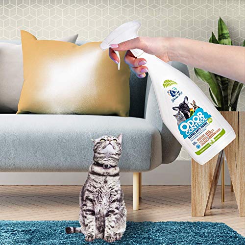 Gaia Pet - Spray elimina manchas y olores orina de gato, perro, quitamanchas para sofás y tejidos - Envase de 750 ml - Producto fabricado en Italia -