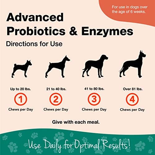 GARMON CORP naturvet Probiotics Avanzada y enzimas Plus Vet Fuerza PB6 Probiotic para Dental para Perros, Suave, Fabricado en Estados Unidos
