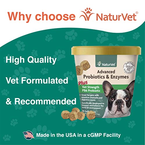 GARMON CORP naturvet Probiotics Avanzada y enzimas Plus Vet Fuerza PB6 Probiotic para Dental para Perros, Suave, Fabricado en Estados Unidos