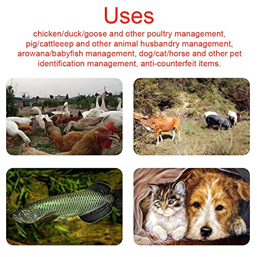 Geevorks 134.2KHz Lector para Mascotas,Lector de Chips de Animales de Mano,Lector de Identificación de Animales con USB para Perro Gato