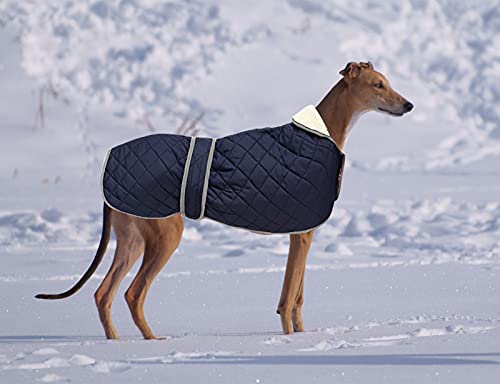 Geyecete - Abrigo cálido térmico Acolchado para Perro Galgo, con Bandas Ajustables, para Invierno Clima frío,Ropa con Agujero del arnés, para medianos y Grandes Perros-Azul-XXL