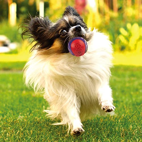 Gigwi Juguete Interactivo para Perros con Bola de Goma Suave y Duradera, tamaño pequeño, Paquete de 3