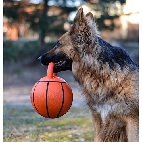GiGwi Jumball - Pelota para perros de talla mediana y grande con asa extra dura de goma (baloncesto Ball)