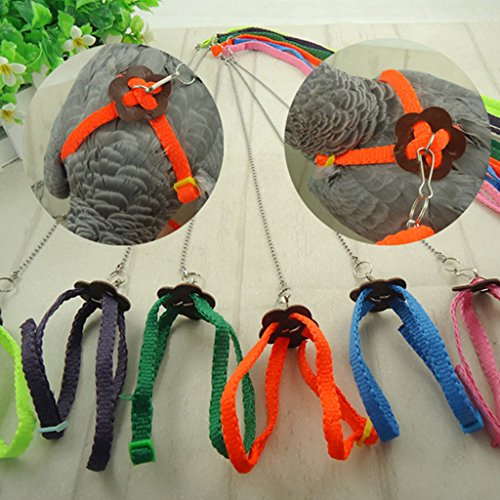 Girasool 1 arnés para pájaros y correa para loros africanos gris cacatúa guacamayo ringneck cacatúa, ajustable y anti mordeduras diseño de banda voladora