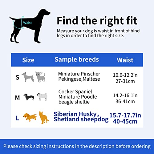 GLAITC Pañales para Perros, 3 Piezas Pañales Lavables para Perros Pañales Reutilizables para Mascotas Fisiológica Pantalón para Perros Hembra para Perros pequeños, medianos y Grandes L