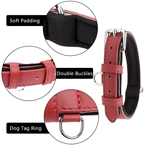 Grand Line Collar de Perro de Cuero Duradero Acolchado Suave con Perforador de Agujeros, Rojo(M)