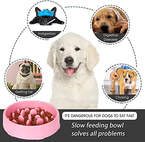GWL Cuenco de Lenta Alimentación para Perros, Slow Eating Dog Bowl, Tazón de Antideslizante Interactivo Saludable Alimentador para Evitar el Ahogo y Comer Demasiado para Perros y Gatos (Negro)