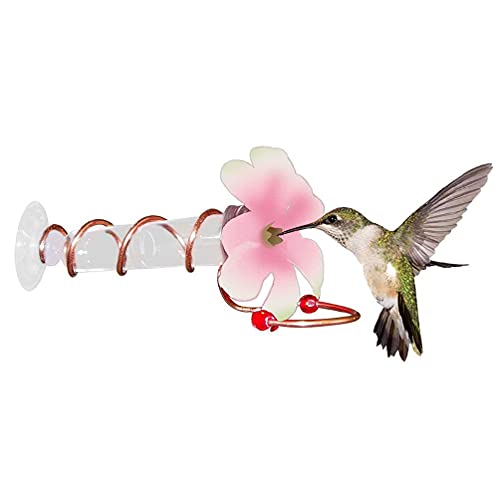 HAINAN 1 alimentador de colibrí de metal y plástico, color rosa y blanco, con gancho de metal con pequeño flujo para colgar jardín, comederos de ciervos para cazar
