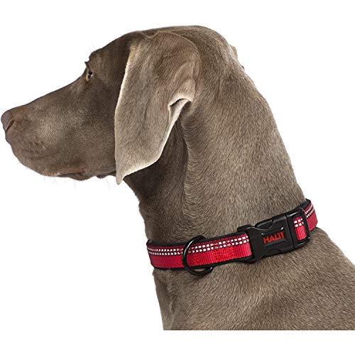 Halti - Collar para perros (25-35cm/Rojo)