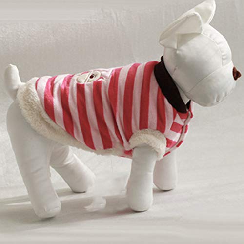 HAOHON Modelo de Perro de AlgodóN Conjuntos de Perro Maniquí de ExhibicióN de Ropa de Perro para Tienda de Mascotas Ropa para Mascotas Ropa Collar Decoraciones Show-Blanco