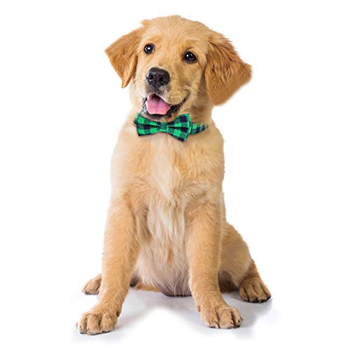 HAOPINSH Pajarita para perro, collar de gato con pajarita con hebilla ligera a cuadros para perros, gatos, mascotas, suave, cómodo, ajustable (S, verde)