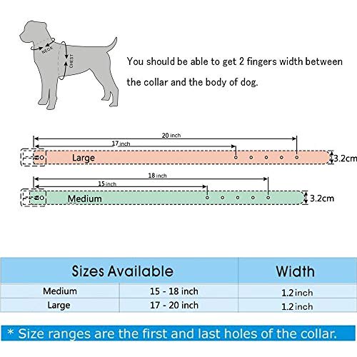haoyueer Collar de perro de cuero con tachuelas de 2 filas de remaches de bala de cuero sintético – Cool Skull Accesorios para mascotas para perros medianos y grandes … (M, rosa caliente)
