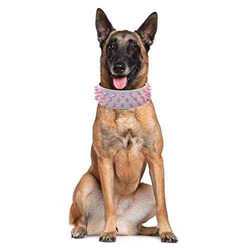 haoyueer Collares de piel para perros de 5 cm de ancho, color rosa fresco con tachuelas para perros medianos y grandes, Pit Bull Mastín Bully Boxer (L, blanco)