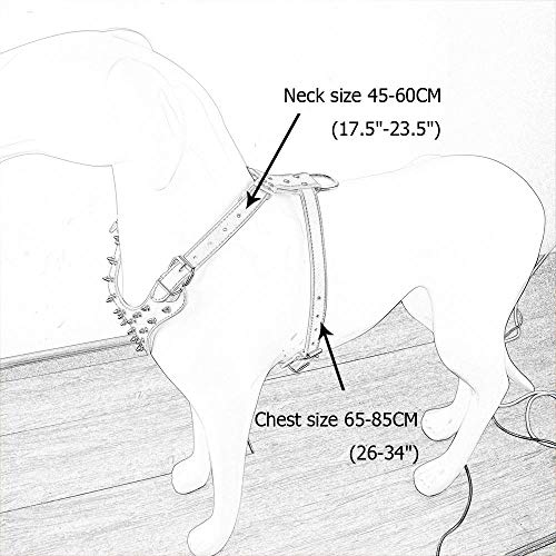 haoyueer Juego de 2 collares de perro con tachuelas de piel, tamaño mediano y grande, juego de 2 piezas para Pit Bull, Mastín, Boxer, Bull Terrier (L, Negro-1)