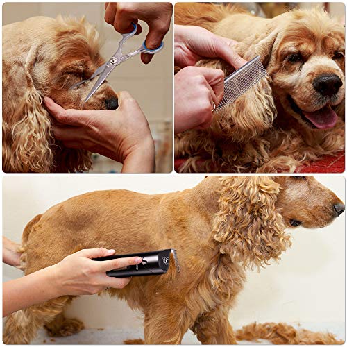 Hatteker Cortapelos profesional para perros, cortapelos de animales, silencioso, inalámbrico, impermeable, para gatos, con peines y tijeras