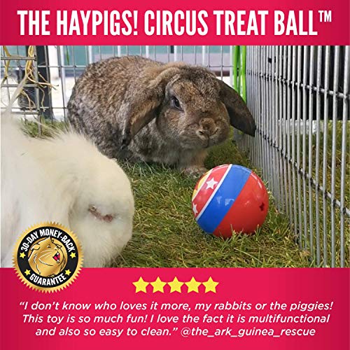 HAYPIGS Circus Theme TREAT BALL - Juguete de enriquecimiento 3 en 1 - Juguetes de conejo - Juguetes de hámster - Juguetes de conejillo de indias - Rompedor de aburrimiento de animales pequeños