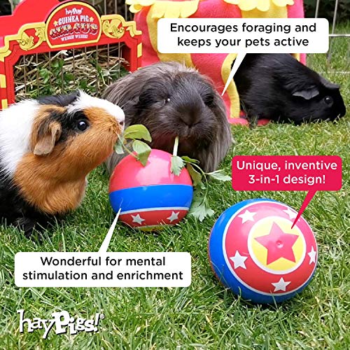 HAYPIGS Circus Theme TREAT BALL - Juguete de enriquecimiento 3 en 1 - Juguetes de conejo - Juguetes de hámster - Juguetes de conejillo de indias - Rompedor de aburrimiento de animales pequeños