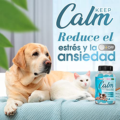 Healthy Fusion Relajante para perros y gatos, Tranquilizante para mascotas, Calma el estrés y la ansiedad, Relaja y calma a tu mascota de forma efectiva, 60 unidades