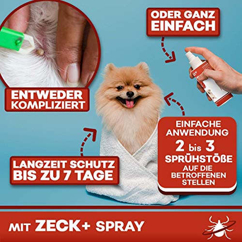 HelloAnimal® - Spray antigarrapatas para perros y gatos con efecto inmediato, tratamiento natural para su mascota, protección muy eficaz