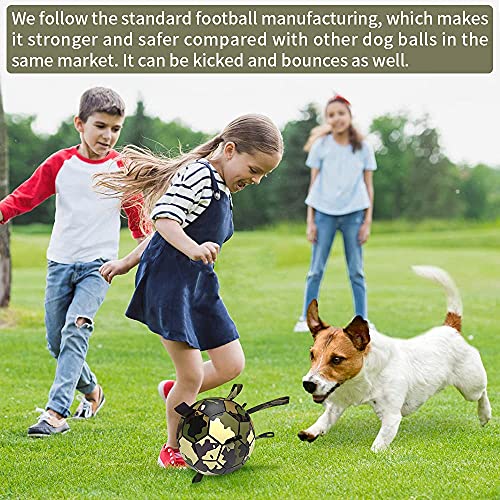 Hetoo - Balón de fútbol interactivo para perros, juguete para el arrastre, juguete para el agua para perros, bolas duraderas para perros pequeños y medianos
