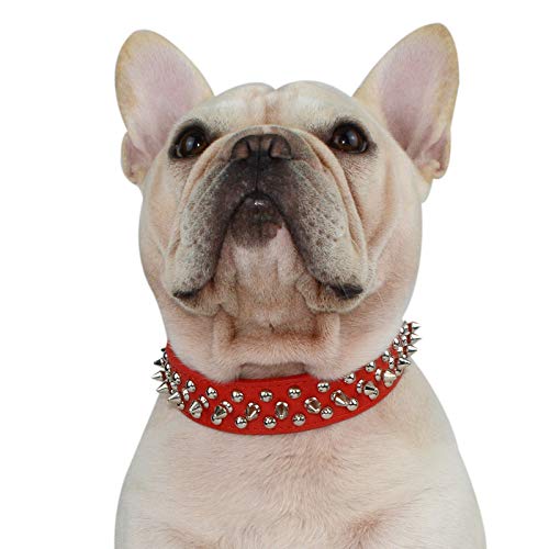 Hifrenchies - Collares para Mascotas de Cuero de Microfibra Ajustables con Remaches con púas y Hongos para Frenchie/Bulldog/Pugs