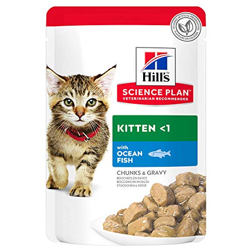 Hills Pet Nutrition S.L. SP Feline Kitten Blue Fish 12 Bolsitasx85G 604038 * 1000 g