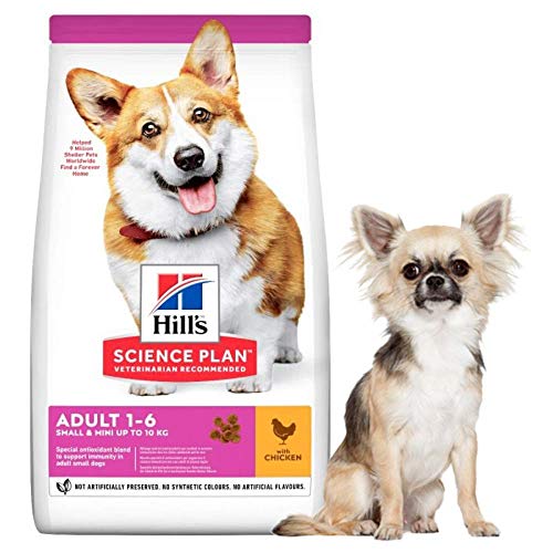 Hill's Science Plan - Comida seca para perros pequeños y en miniatura (6 kg)