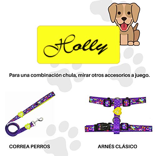 Holly Mascotas Collar de Perro Acolchado, Suave Acogedor, Collar Transpirable para Perros pequeños/medianos/Grandes, Collares Ligeros de Entrenamiento al Aire Libre Hechos en España Gran Acabado.