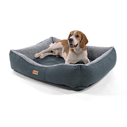 Homeoutfit24 Lucky - Cesta para perro | lavable | cama con cojín reversible y cojín de mimos Daisy | cesta para mascota, de poliéster y peluche