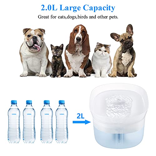 HoneyGuaridan W20 Fuente de Agua automática, dispensador automático de Agua para Mascotas con Bomba ultrasilenciosa, diseñado para Gatos de Todos los tamaños y Perros pequeños