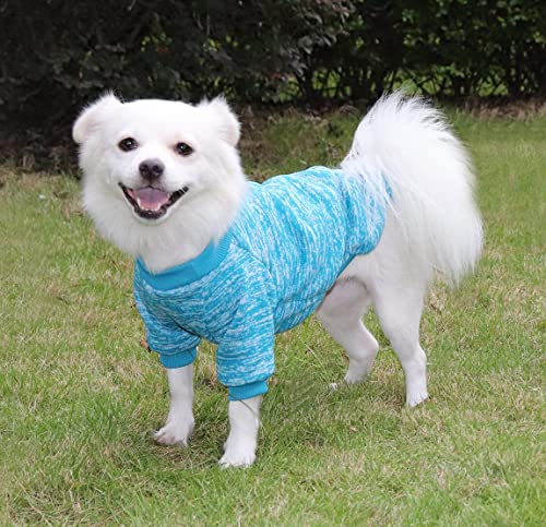 HuaLiSiJi Jersey para Perros Pequeños Ropa de Perros de Navidad Jersey Chihuahua, Elástico Suave Cómodo y Cálido para Cachorro y Perros Pequeños (X-Small, Azul)