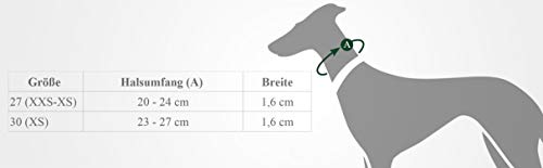 HUNTER Cody Petit - Collar de Piel para Perros pequeños, Estilo rústico, Suave, Talla 27 (XXS-XS), Color marrón Oscuro y coñac