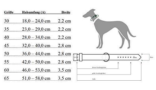 HUNTER Vega - Collar para Perro de Piel sintética, Resistente, fácil de Limpiar, 50 (S-M), Color marrón y Negro