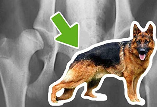 Hyaloral 120 comp para Perros de Razas Grandes y Gigantes | Suplemento Nutricional para el dolor de Caderas, Articulaciones y Cartílagos | Complemento Vitamínico para fortalecer Tendones y Ligamentos
