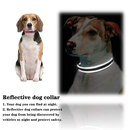 Hywean 3Pcs Collar de Perro Reflectante Collar Ajustable y Suave Collar de Perro Cómodo y Duradero para Perros Grandes o Pequeños S/M/L