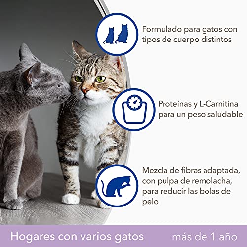IAMS ProActive Health Comida para gatos adultos y senior, para hogares con varios gatos, con salmón y pollo, 15 kg