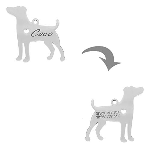 Iberiagifts - Placa identificación de Acero Inoxidable en Forma de Beagle. para Mascotas pequeñas a Medianas. Chapa Medalla de identificación Personalizada Collar Perro Gato grabada