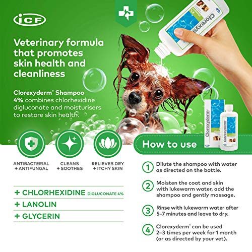 ICF Clorexyderm Champú para Perros, Cachorros y Gatos con picores - Antibacteriano y antifúngico, 4% clorhexidina - 250ml