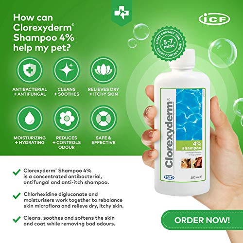 ICF Clorexyderm Champú para Perros, Cachorros y Gatos con picores - Antibacteriano y antifúngico, 4% clorhexidina - 250ml