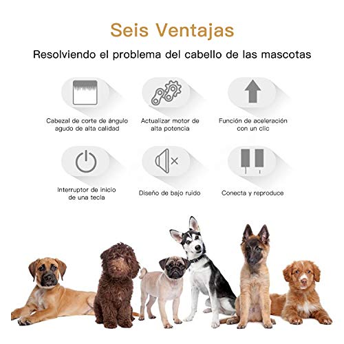 ICHECKEY Cortapelos para Perros, Kit de Aseo para Perros Cortapelos Eléctricos para Mascotas de Bajo Ruido Cortapelos Profesionales Recargables Inalámbricos para Perros Gatos Mascotas