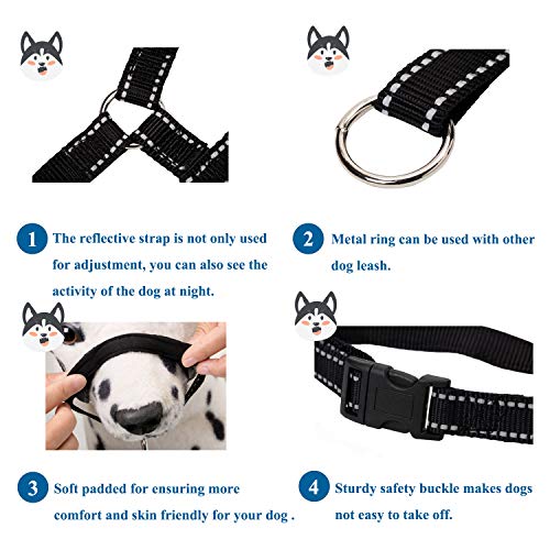 ILEPARK Cuello De Cabeza para Perros con Cinturino Riflettente, Cabestro para Perros, Regolabile E Facilmente Controllabile. (M,Negro)
