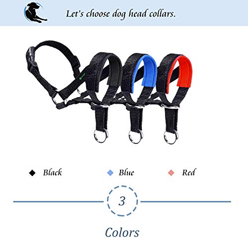 ILEPARK Cuello De Cabeza para Perros con Tela Acolchada, Cabestro de Cabeza para Perros, Regolabile Herramienta de Entrenamiento (L,Azul)
