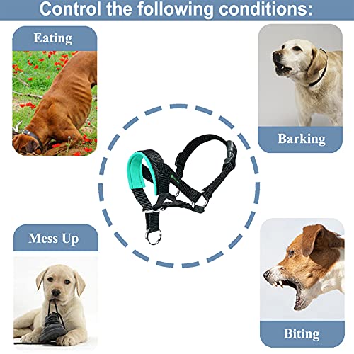 ILEPARK Cuello De Cabeza para Perros con Tela Acolchada, Cabestro de Cabeza para Perros, Regolabile Herramienta de Entrenamiento (L,Verde)