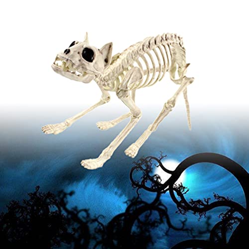 IMIKEYA Halloween Esqueleto Gato Rata Esqueleto Gato Huesos Reaper Huesos Animales Esqueleto Utilería para Interior Exterior Escena Escalofriante Fiesta Favores